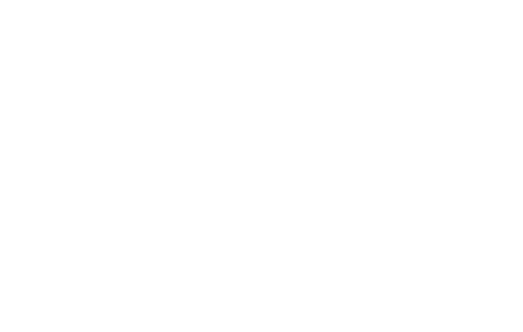 FSR Logic Logo in white